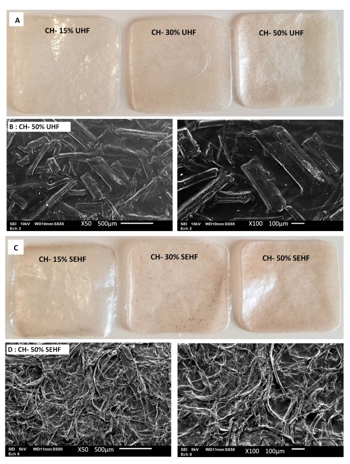General appearance of chitosan films reinforced with untreated fibers (UHF, (A)) and steam exploded fibers (SEHF, (C)). Micrographs of films with 50% HF show the fibers at film surface (B,D) at two different magnifications (×50 on the left and ×100 on the right).