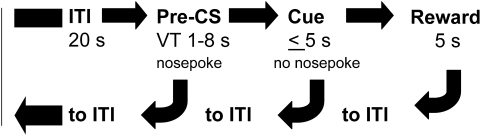 The progression of each trial during phase 4 of the signaled nose poke task.Each trial started with a 20 s ITI; responses during this period had no consequence. Nose pokes during the subsequent pre-CS period (VT 1–8 s) reinstituted the ITI. If mice refrained from responding during the pre-CS period the trial progressed to the 5 s cue presentation. Nose pokes in the pre-assigned reinforcement hole during the cue presentation turned off the cue and immediately elevated the sucrose dipper. Nose pokes in the non-reinforced hole had no consequence. CS = conditioned stimulus; ITI = inter-trial interval; VT = variable time.
