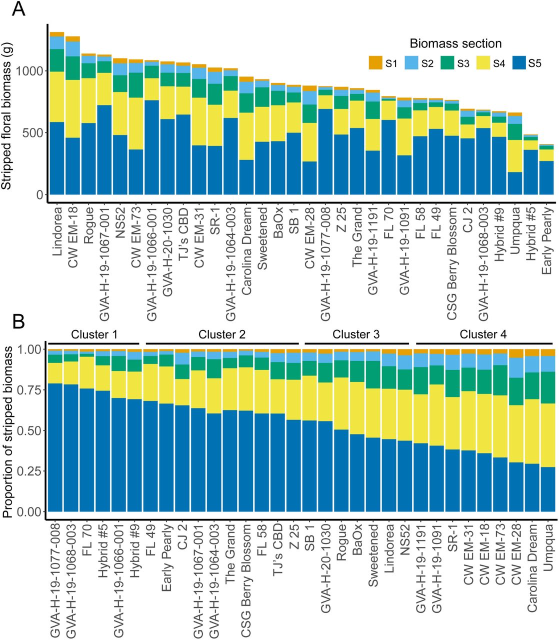 Bar plots of stripped biomass produced by 32 high-CBD hemp cultivars partitioned into five sections where S1 is branches derived from the top 5th of the main stem, S2 those from the second to top, etc. Colors indicate the mean stripped biomass per plant (A) and the proportion of stripped biomass (B) from each of the five sections. Clusters in (B) are cultivar-level k-means clusters based on the proportions of dry biomass produced in each section.