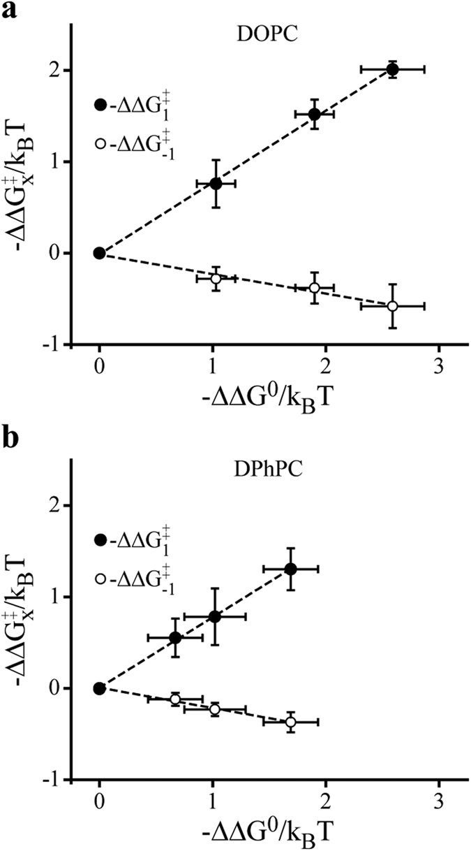 AEA shows linear rate-equilibrium energetic effects on gA channels.Concentration-dependent effects of AEA on gA channel energetics expressed as −ΔΔ or −ΔΔ vs. −ΔΔG0 in DOPC (a) and DPhPC (b) bilayers. Data is shown as mean ± s.e.m. (n > 3).