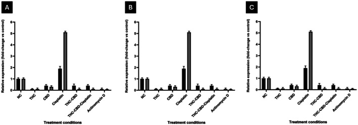 Expression of DNA repair genes (XRCC1 and RAD51) in (A) HeLa, (B) SiHa and (C) MCF‐12A cells after 72 h of treatment. The expression of XRCC1 and RAD51 was measured and is presented as fold change relative to the negative control (NC). A relative expression value > 1 indicates upregulation, while a value < 1 indicates downregulation. Standard deviation represented by T‐bars. Actinomycin D was used as a positive control.