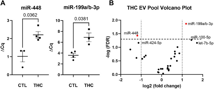 In utero THC exposure alters miRNA expression in fetal cerebral spinal fluid. (A) The qPCR data analysis revealed a significant (p < 0.05) difference in levels of miR-448 and miR-199a/b-3p in the THC-exposed (THC) versus the control (CTL) fetal cerebral spinal fluid. (B) The volcano plot shows a greater than twofold change in miR-448 and miR-199a/b-3p in THC-exposed versus control fetal cerebral spinal.