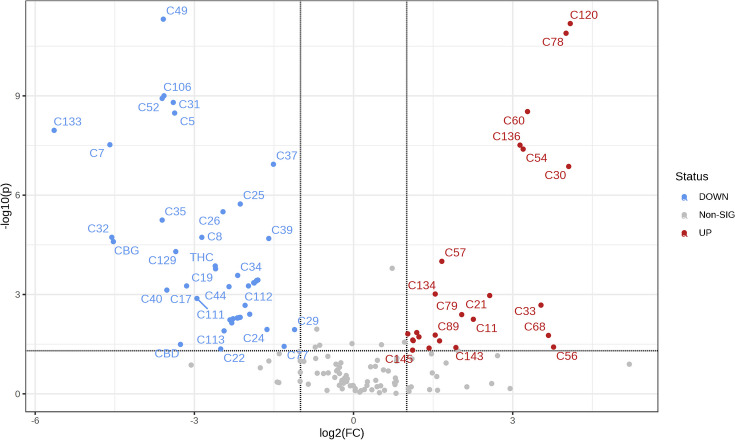 Volcano plot (log2fold change (FC) threshold > 2 on x-axis, and t-test p-value < 0.05 expressed in − log10 on y-axis) showing relevant differences between tray and freeze drying profiles. The blue compounds were detected at lower abundance in freeze-dried samples; the opposite was true for the red ones