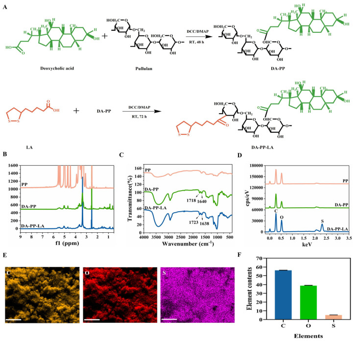 Synthesis and structural characterization of polymer DA-PP-LA. (A) Synthesis process of polymer DA-PP-LA. (B) 1H NMR spectra, (C) infrared spectra, and (D) X-ray energy spectra of pullulan polysaccharides, polymers DA-PP and DA-PP-LA. (E) Element distribution images and (F) element content of polymer DA-PP-LA. Scale bar = 50 nm. Values are presented as mean ± SD (n = 3).