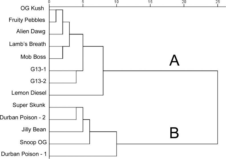 Hierarchical clustering analysis of all 13 cannabis samples.Distances are rescaled to 25. Samples in Cluster A were characterized as earthy, woody, and herbal; those in Cluster B as citrus, lemon, sweet, and pungent (see text).