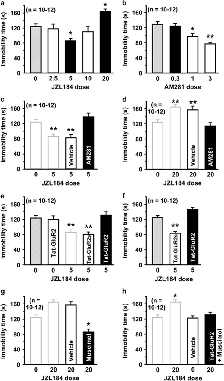 Biphasic effects of JZL184 on immobility of acutely stressed mice (a) an intraperitoneal (i.p.) injection of 5 or 20 mg kg−1 of JZL184 respectively decreases and increases immobility. (b) AM281 dose-dependently decreases immobility. (c–f) An i.p. injection of AM281 (0.3 mg kg−1) (c,d) or Tat-GluR2 (e) and an intra-CA1 injection of Tat-GluR2 (f) abolish the decreased immobility produced by JZL184 (5 mg kg−1, i.p.). (g) Muscimol and JZL184 (20 mg kg−1) together decrease immobility. (h) Tat-GluR2 and muscimol together abolish the increased immobility produced by 20 mg kg−1 JZL184. All summary graphs show means±s.e.m.; n=numbers of animals recorded in each group. *P<0.05 and **P<0.01 vs control, LSD post-hoc test after one-way ANOVA (a: F4,51=10.173, P<0.01; b: F3,42=12.573, P<0.01; c: F3,40=12.098, P<0.01; d: F3,40=9.817, P<0.01; e: F4,51=9.212, P<0.01; f: F2,32=13.189, P<0.01; g: F3,40=20.173, P<0.01; h: F3,42=9.107, P<0.01).