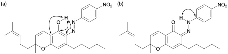 Key HMBC correlations for 16: (a) azo form and (b) quinoneimine form.