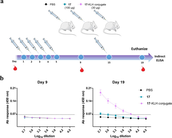 (a) Immunogenicity assessment. The procedure was devised to mimic a daily chronic pain therapy. Mice were treated for 5 consecutive days and boosted at day 15 with peptide 17 in phosphate-buffered saline (PBS) (group 1, 100 μg/dose), peptide 17-KLH conjugate in PBS (group 2, positive control, 30 μg), or PBS (group 3, negative control). The lower dose of the 17-KLH conjugate, compared to 17 alone, was chosen to prevent potential protein toxicity in the mice. Serum samples were collected on days 0, 9, and 19 and animals were euthanized on day 19. (b) ELISA of humoral response. Peptide-specific antibody response in sera collected at the indicated days. Each point depicts mean antibody titers ± SD. The dotted line indicates the detection limit. Free (nonconjugated) 17 induces no significant response; immunogenicity is observed only upon conjugation to a large-size carrier protein (KLH, MW ∼ 5 MDa) and boosting.