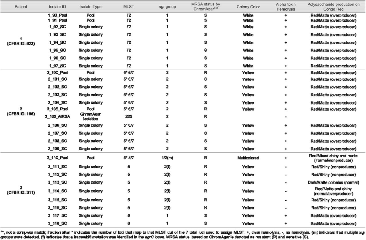 Compilation of genotypes and phenotypes of single colony and pool Isolates of S. aureusa CF SputumComplete summary of genotypic and phenotypic testing done on single colony, pool and ChormAgar isolated MRSA isolates from all three patient sputum samples.