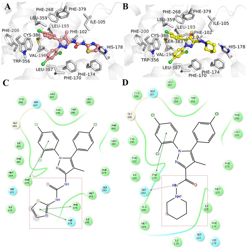 Interaction with cannabinoid receptor 1 (CB1R). (A) TXX-522 and (B) SR141716A docking with the CB1R. Two-dimensional topological representation of (C) TXX-522 and (D) SR141716A docking with CB1R.