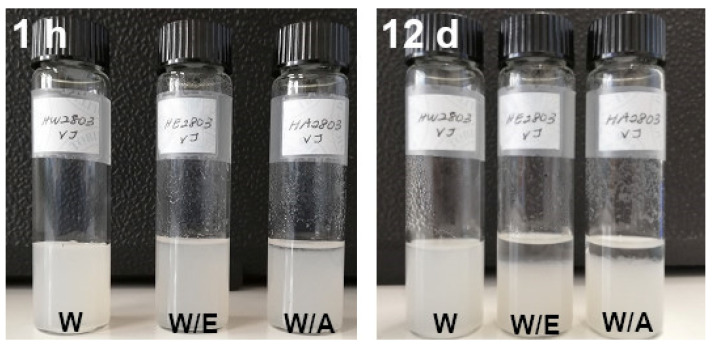 Hemp nanocellulose after settling for 1 h (1 h) and 12 days (12 d) in different solvents (W = water, W/E = water/ethanol, W/A = water/acetone).