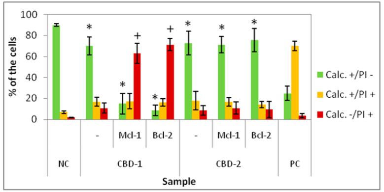 Percentage of 3D cultured cells Calc+/PI-, Calc+/PI+ and Calc-/PI+ after exposure to three doses of dendrimers and dendriplexes. Dendrimers concentration: 10 μM; CBD/siRNA molar ratio 20:1. * p < 0.05 vs. NC for group Calc+/PI-; + p < 0.05 vs. NC for group Calc-/PI+. n = 6.