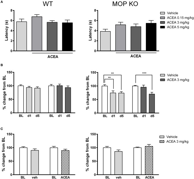 Effects of ACEA on thermal nociceptive thresholds in wildtype (WT) (left) and MOP receptor knockout (KO) (right) mice following acute (A) or chronic (B) injections and during a post-treatment drug-free test (C). (A) Bars represent mean (+SEM) latency (s) to withdraw the tail from a heated bath 45 min after ACEA (0.15, 3, or 5 mg/kg) or vehicle injections. (B) Tail withdrawal latencies are expressed as mean (+SEM) % change from baseline (BL) following vehicle or ACEA (3 mg/kg) administration on days 1 and 5 (d1, d5) of a 5-day dosing regime. BL was established one day prior to the first injection. (C) Tail withdrawal latencies, shown as mean (+SEM) % change from BL, were assessed 23 h following the final ACEA or vehicle injection. ACEA = arachidonyl-2-chloroethylamide **P < 0.01; ***P < 0.001.