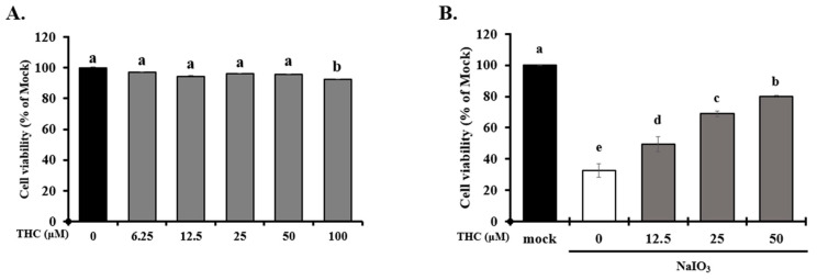 Effects of THC on cell survival in NaIO3-induced ARPE-19 cells. ARPE-19 cells were pretreated with THC (0–100 μM) for 1.5 h, and subsequently incubated in the absence (A) or presence (B) of 6 mM NaIO3 for 24 h. Cell viability was determined using the MTT assay, and absorbance was measured using a microplate reader. Data are presented as mean ± SD, n = 3, p < 0.05. Groups labeled with different letters (a–e) are significantly different from each other.