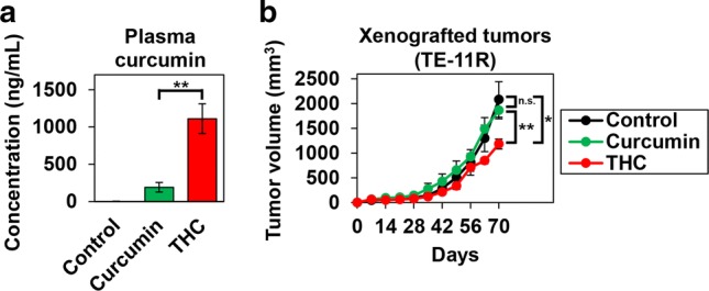 Comparison of blood curcumin concentration and antitumor effect on ESCC after ingestion of curcumin and Theracurmin® diet. a Plasma concentration of curcumin: C57BL/6 mice received control, curcumin (0.6 g/kg) or Theracurmin® (THC) (2 g/kg: containing 0.6 g/kg curcumin) diet for 1 week. Plasma concentration of curcumin was measured (**P < 0.01, vs curcumin diet; n = 5). b Xenografted-tumor growth: TE-11R cells (1.5 × 106 cells) were injected into hairless SCID mice that received control, curcumin, or THC diet for 70 days. The tumor volume was measured with a caliper [*P < 0.05, **P < 0.01, n.s. (non significant, P > 0.05), vs control or curcumin diet; n = 5]