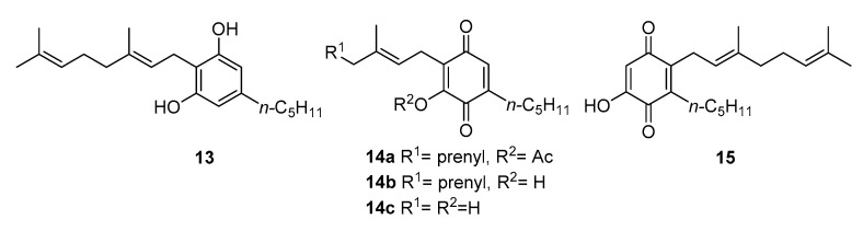 Structure of cannabigerol (CBG, 13), CBGQ-acetate (14a), CBGQ (14b), deprenyl-CBGQ (14c) and abnormal CBGQ (15).