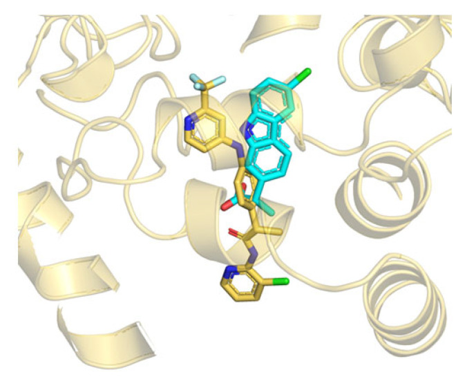 Superposition between the B3db1 binding mode of TPA14 in rFAAH (yellow stick) and the crystal structure of carprofen (cyan stick) (PDB: 4DO3), close to the MAC channel.