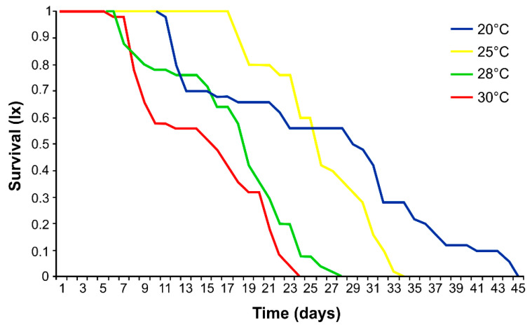 Effect on survival rates of apterous Phorodon cannabis (n = 50 individuals at each temperature: 20, 25, 28, 30 °C).