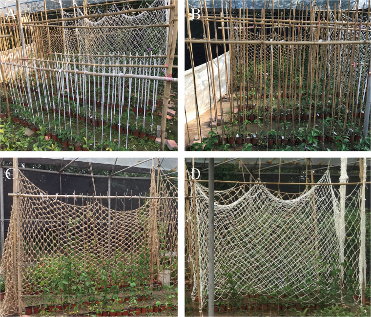 Field setup of four types of supports. (A) Setup of PVC pipe support poles with different diameters; (B) Setup of bamboo rod support poles with different diameters; (C) Setup of climbing nets made of hemp rope with different mesh sizes; (D) Setup of climbing nets made of nylon rope with different mesh sizes.