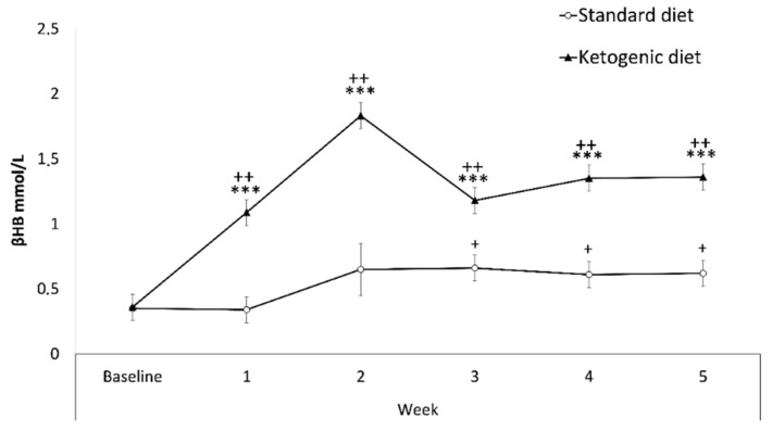 Weekly β-hydroxybutyrate blood levels. Data are represented as the mean (±SEM) amount of βOHB measured weekly. *** p < 0.001 significant difference with respect to SD group. ++ p < 0.001; + p < 0.05 significant difference with respect to the baseline.