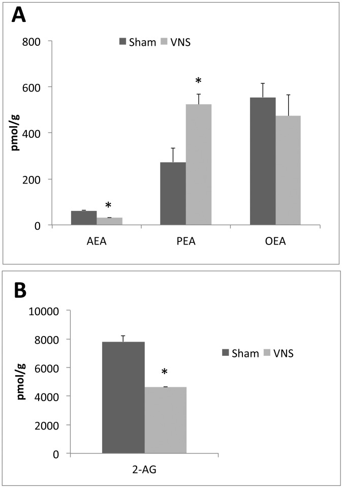Effects of chronic VNS on the levels of endocannabinoids and the PPARα ligands PEA and OEA in mesenteric adipose tissue.The amounts of AEA, PEA, and OEA (A) and of 2-AG (B) in mesenteric adipose tissue were determined for rats subjected to VNS for 4 weeks and for sham-operated animals. Data are means ± SEM for four animals per group. *P<0.05 versus the corresponding value for sham-operated controls (Scheffe’s test).