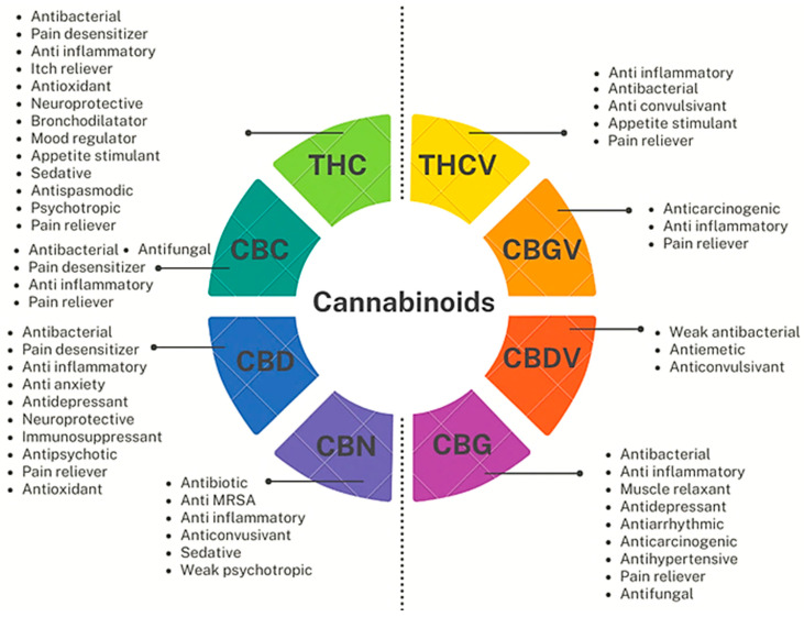 Pharmacological properties of some relevant major and minor PCs. Figure 9 has been originally created by the authors using information found online [41] and using Flipsnack, a free dowlodable application to produce PowerPoint professional designes, available online at https://app.flipsnack.com/editor/7uld8l9xu3 (accessed on 14 June 2023).