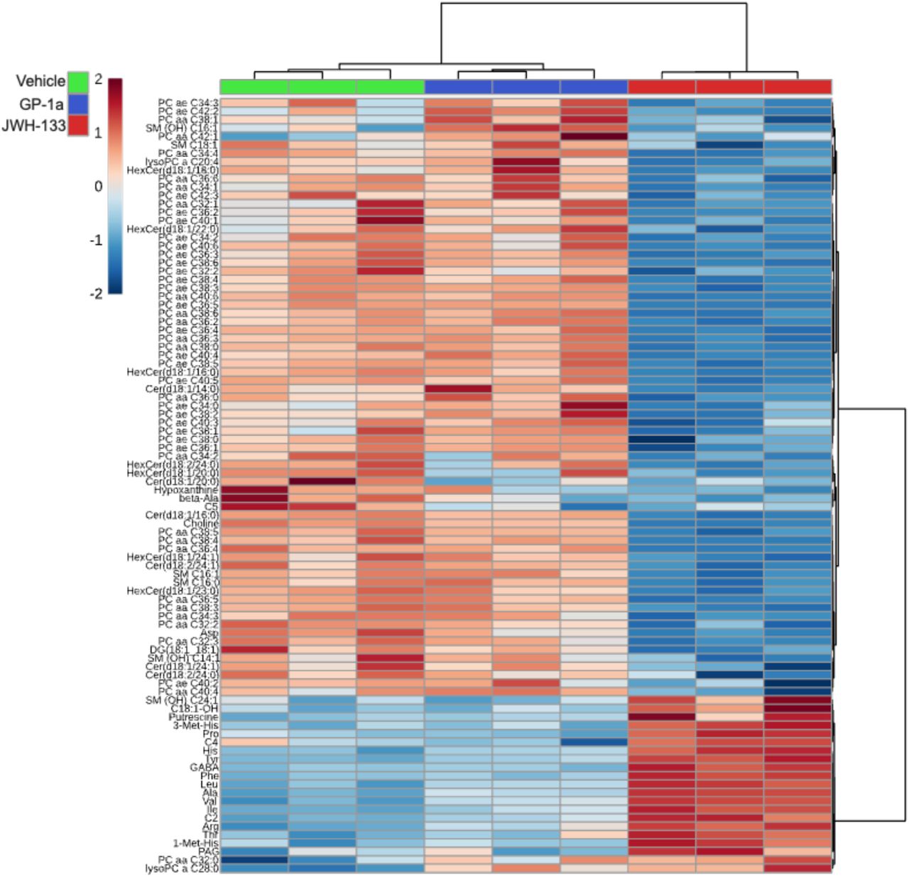 Changes in metabolic profiling in response to CB2R engagement.CB2R signalling is important in regulating the metabolomic profile of T cells, with receptor activation inducing distinct metabolic alterations. (A) Heatmap of the significantly altered metabolites (adj. p value ≤ 0.05) following 24 h CB2R inverse agonism or agonism (N = 92). The degree of positive or negative expression when comparing metabolites between treatment groups is expression is indicated by +2 (red) and -2 (blue).