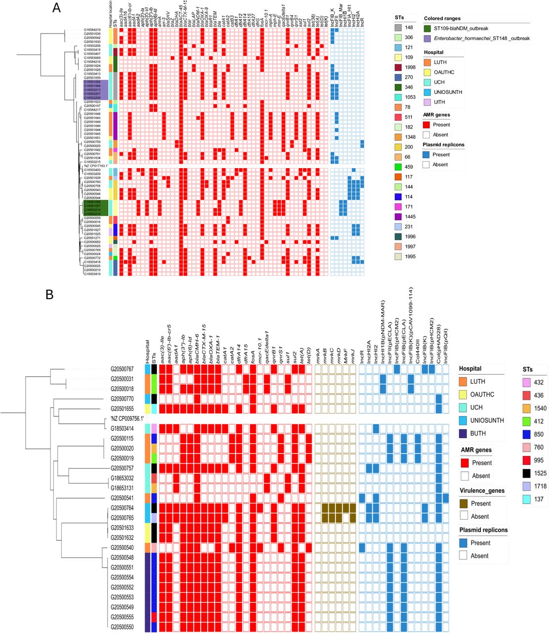 Maximum likelihood phylogenetic trees showing the relationship among Enterobacter isolates belonging to the most frequently encountered species from different hospitals, sequence types, AMR genes, and plasmid replicons detected. (a) Enterobacter hormaechei (b) E. cloacae
