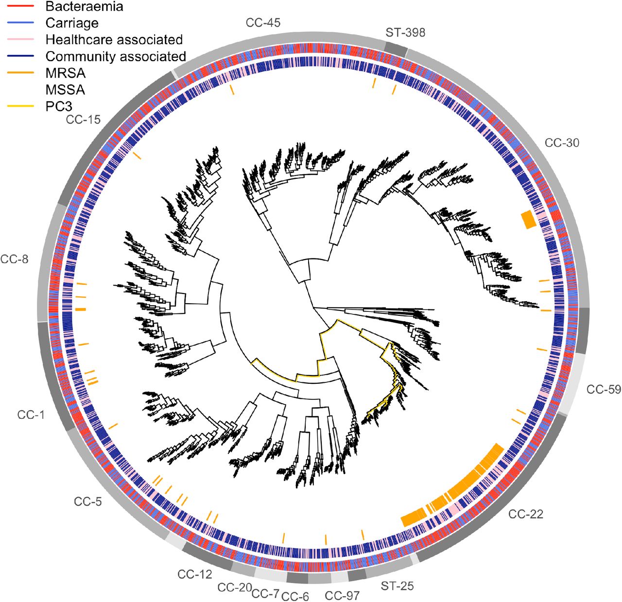 Maximum likelihood phylogeny of 2001 isolates from bacteraemia and carriage.Branch lengths have been square-root transformed to better discriminate closely related lineages. The outer ring indicates clusters with a shared lineage; lineages with more than 20 isolates are named by the clonal complex (or ST if only a single ST was in the cluster). The second outermost ring indicates isolate source (blue carriage, red bacteraemia). The third outermost ring indicates whether each isolate was community (dark blue) or hospital (pink) associated. The inner ring indicates isolates were MRSA (orange) or MSSA (white). The branches corresponding with the most significant principal component of variance (PC3, p=0.02, Wald test) with respect to carriage-vs-bacteraemia are highlighted in yellow.