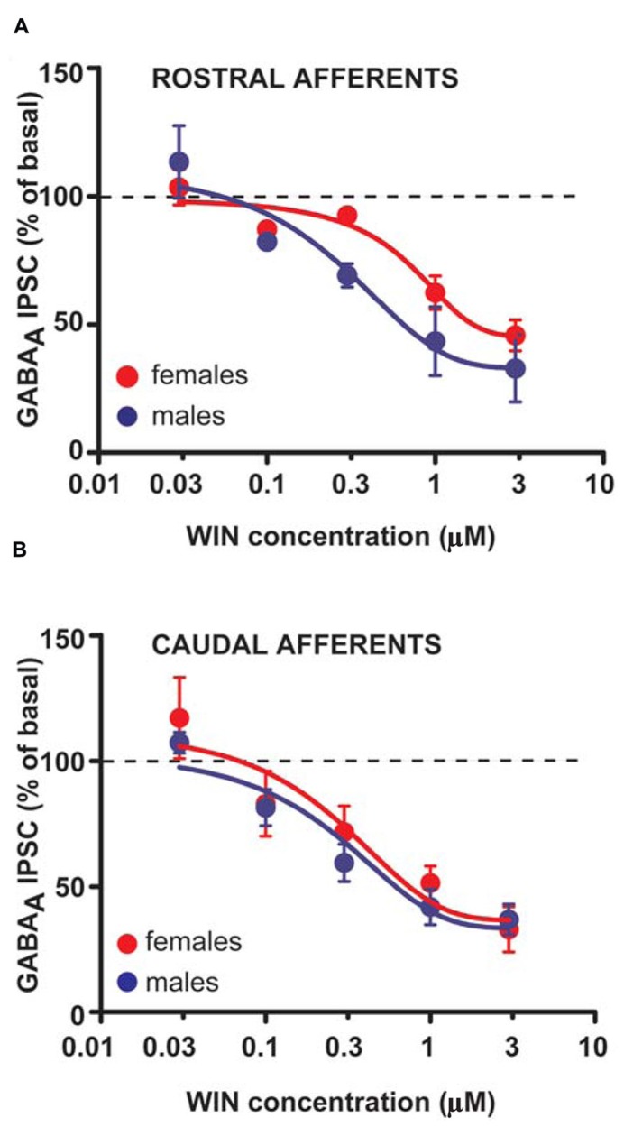 CB1 receptor activation produces similar effects in male and female LH rats. Dose–response curves for percentage inhibition in GABAA IPSC amplitude, which were recorded from VTA DA cells and evoked by stimulating either rostral (A) (n = 5 for both sexes) or caudal (B) (n = 5 for both sexes) afferents, produced by the CB1 receptor agonist WIN. Each symbol represents the averaged value ( ± SEM) obtained from different cells.