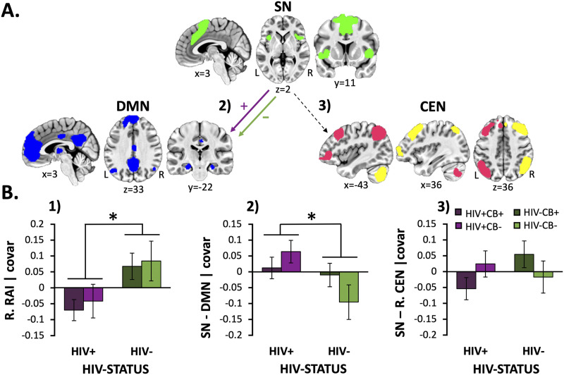 HIV-associated effects on network-level resource allocation index and rsFC (SN-DMN and SN-CEN) metrics. (A) Schematic of network-level resting-state functional connectivity (rsFC) differences between HIV+ and HIV− participants. People living with HIV (PLWH) showed increased rsFC (purple [+] arrow) between the salience network (SN; green) and the default mode network (DMN; blue) relative to that from HIV− participants (green [−] arrow). The gray dashed arrow indicates nonsignificant group differences when considering rsFC between the SN and central executive network (CEN; pink = L.CEN, yellow = R.CEN). (B.1) PLWH (vs. HIV− participants) showed reduced resource allocation index (RAI) values when considering both the right (p = 0.008) and left hemisphere (data not displayed, F[1, 92] = 4.3, p = 0.042). (B.2) HIV-associated RAI reductions were driven by increased SN-DMN rsFC among PLWH (vs. HIV− participants; p = 0.027). (B.3) On the other hand, significant group differences were not detected when considering SN-R.CEN or SN-L.CEN (data not displayed) rsFC values (p > 0.3), which were the second aspect contributing to the composite RAI value. Unstandardized residuals are plotted after regressing effects of age, sex, mean FD, and NIC status. Error bars = standard error of the mean.