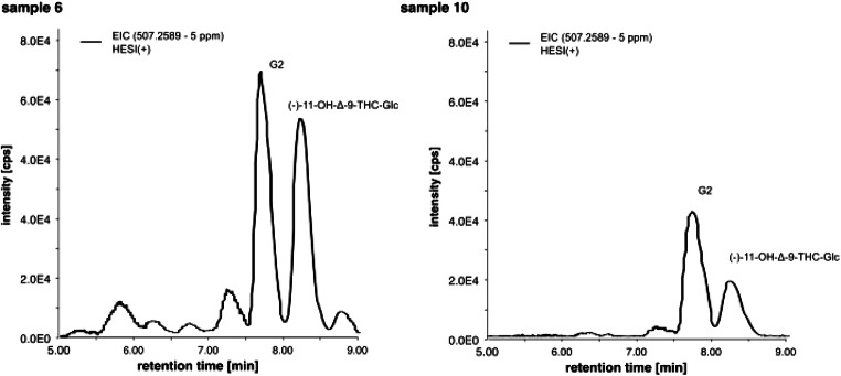 Extracted ion chromatograms of m/z 313.2162 (PRM mode, precursor ion m/z 507) in HESI(+) for OH-Δ-9-THC-Glc of two authentic serum samples extracted with a newly developed solid phase extraction method
