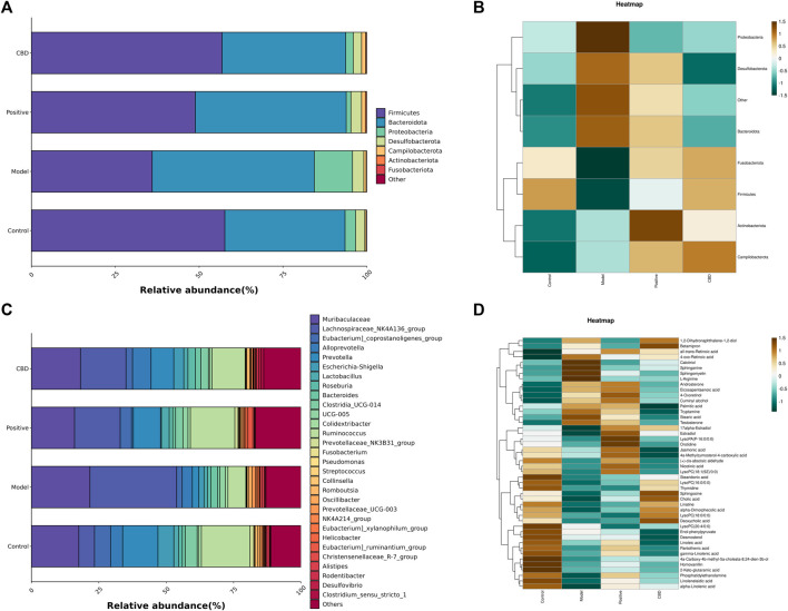 (A) Top 7 phyla species composition. (B) Heat map of the top7 phyla. (C) Top 30 genera species composition; and (D) heat map of the top 30 genera. Bright green indicates a lower abundance across species, whereas a bright brown indicates a higher abundance across species.