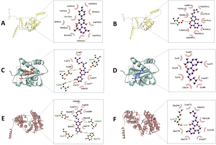 Interactions of Analogs of CBD and RPL7A, NHP1L and PSMD11 proteins. A. Analog 44409296 and RPL7A. B. CBD and RPL7A. C. THC and RPL7A. D. 166505341 and NHP2L1. E. CBD and NHP2L1. F. THC and NHP2L1. G. 166505341 and PSMD11. H. CBD and PSMD11. I. THC and PSMD11.