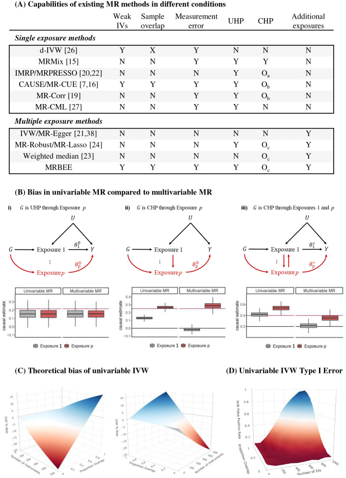 (A): Bias addressed by currently available MR methods. ‘N’: cannot address. ‘Y’: can fully address. To be ‘Y’, ‘Oa’ requires that all CHP IVs resemble outliers, ‘Ob’ requires proportion of CHP IVs to be <0.10, and ‘Oc’ requires that all moderately genetically correlated exposures with CHP effects are included in MR or that all CHP resembles outliers. Each available MR method can only address a subset of all bias known to affect causal estimation. No univariable MR method can estimate direct causal effects, while no existing multivariable MR method to estimate direct causal effects can do so without bias besides MRBEE. (B): Situations in which univariable MR with IVW cannot reliably estimate direct causal effects. Multivariable IVW can more reliably estimate direct causal effects, but still suffers from large bias. Horizontal gray and red lines respectively indicate true direct effects of exposure 1 and p. Boxplots are causal estimates from simulation with true relationships represented by the directed acyclic graphs. Boxplot center lines are medians and boxes are formed by the lower and upper 25% quantiles. (C): Relative bias (bias divided by true causal effect times 100) using Equation 1 is displayed for different numbers of IVs and overlap proportions when the exposure and outcome GWAS sample sizes are 30k.
