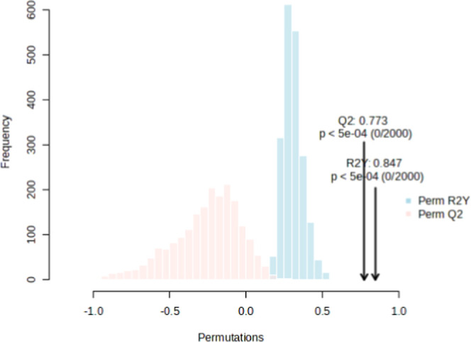 Permutation test result for OPLS-DA model. R 2 reflects the variance in the data explained by the model and indicates the quality of the fit. Q 2 shows the variance that the model can predict and indicates its predictive power.