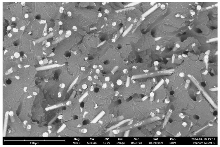 Microstructural analysis of 30% glass fiber-reinforced polymer composites through SEM.