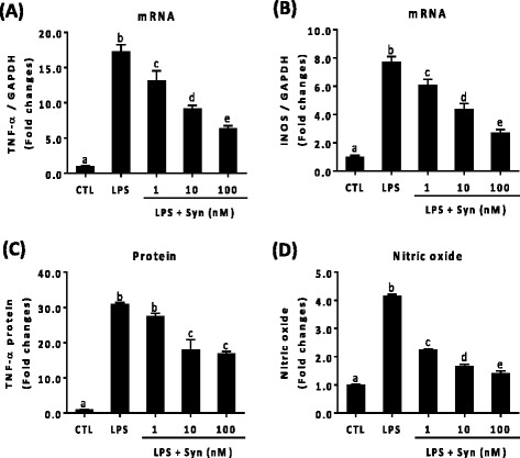 Inhibitory effect of synaptamide on LPS-induced expression of TNF-α and iNOS in microglia cells. Primary rat microglia cells were incubated with LPS (100 ng/mL) and/or synaptamide at the indicated concentration. Synaptamide was added immediately after LPS exposure. Levels of TNF-α (a) and iNOS (b) mRNA were determined by qPCR after 1 h incubation. After 24 h, accumulated levels of TNF-α (c) and nitric oxide (d) in the media were measured by ELISA and Griess reaction. The data represent the mean ± SEM at least three independent experiments. Means designated with the same letter are not significantly different. One-way ANOVA followed by Tukey’s post hoc test (Prism Software, SigmaStat)