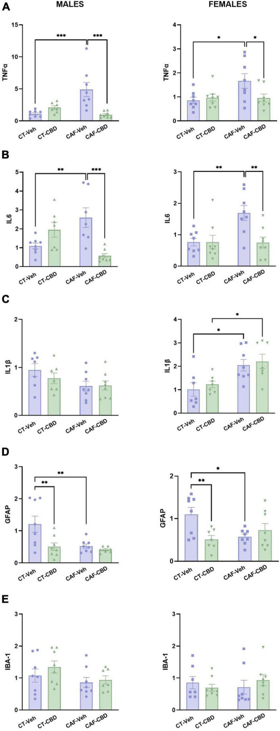 Relative gene expression of tumor necrosis factor-alpha (TNFα), interleukin 6 (IL6), interleukin 1β (IL1β), glial fibrillary acidic protein (GFAP), and ionized calcium-binding adapter molecule 1 (IBA1) in the hypothalamus of the offspring. Maternal obesity increased the expression of TNFα (A) and IL6 (B) in both males and females, with a positive effect of cannabidiol (CBD) treatment. Maternal obesity increased the expression of IL1β only in females, with no effect of CBD (C). Both maternal obesity and CBD treatment decreased GFAP expression in males and females when compared to control diet (CT) (D). No difference was found in IBA1 expression (E). Data are presented as mean ± SEM. n = 6–8/group. *p < 0.05 **p < 0.01 ***p < 0.001.