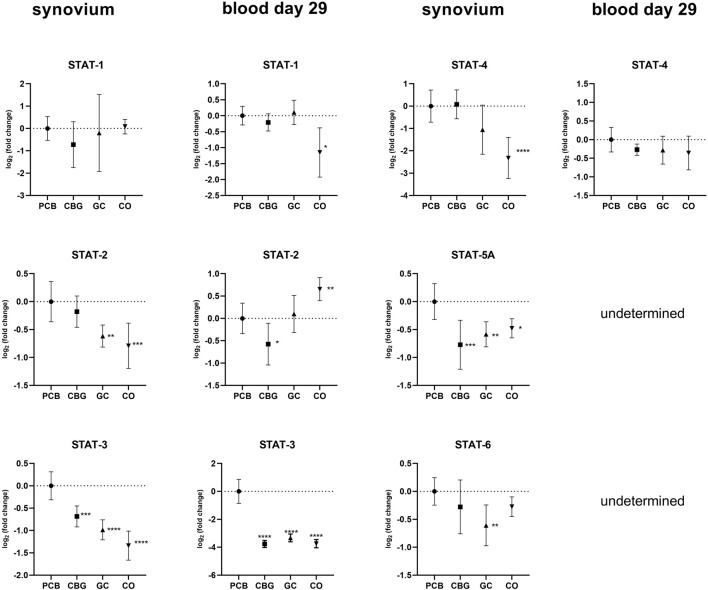 Nine graphs display the log base two fold change in expression of STAT proteins in synovium and blood on day twenty-nine. Each graph represents different STAT proteins (STAT-1, STAT-2, STAT-3, STAT-4, STAT-5A, STAT-6) across four conditions: PCB, CBG, GC, and CO. Error bars indicate variability, and asterisks denote statistical significance. Undetermined results are noted for certain proteins in some conditions.
