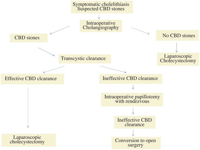 Flow chart in the treatment of cholecysto-choledocholithiasis. CBD, common bile duct.