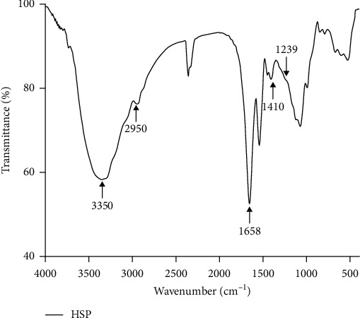 FT-IR spectra of HSP.