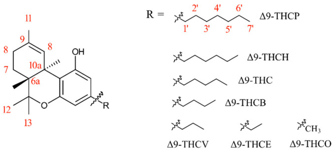 Structure of ∆9 isomers of THC-based molecules with various alkyl chain lengths, including some atom numberings in red.