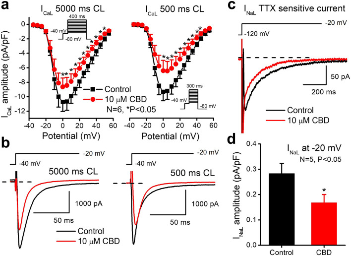 Effect of CBD after 3–5 min acute superfusion of the drug without washout on L-type calcium (ICaL) and on the late sodium (INaL) currents in rabbit left ventricular myocytes at 37 °C. On (a) current–voltage curves show the inhibition of ICaL by 10 µM CBD at 5000 ms (left) and at 500 ms (right) cycle lengths. Original ICaL current traces are shown on (b) in control conditions and in the presence of 10 µM CBD recorded from rabbit left ventricular myocytes at 5000 ms (left) and at 500 ms (right) cycle lengths at 0 mV test potential. TTX sensitive current (INaL) traces (c) and a bar diagram (d) show the inhibition of INaL by 10 µM CBD measured at −20 mV in rabbit left ventricular myocytes.