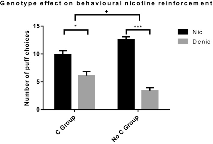 Number of puff choices from Nic and Denic cigarettes across both genotype groups. There was a cigarette × genotype interaction (F (1,100) = 9.919, p = .002, ηp2 = 0.090). In both genotype groups, there were significantly more Nic puffs than Denic puffs. However, this effect was smaller in the C group compared to the No C group. Denic, Denicotinized; Nic, Nicotinized. + = significant 2‐way interaction. * = p < .05. *** = p < .001