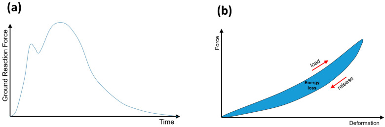 Ground reaction force as a function of time during a running step and the resulting contact of the shoe sole with the ground (a) and hysteresis curve in the force-deformation diagram (b). The energy loss corresponds to the enclosed area of the hysteresis curve.