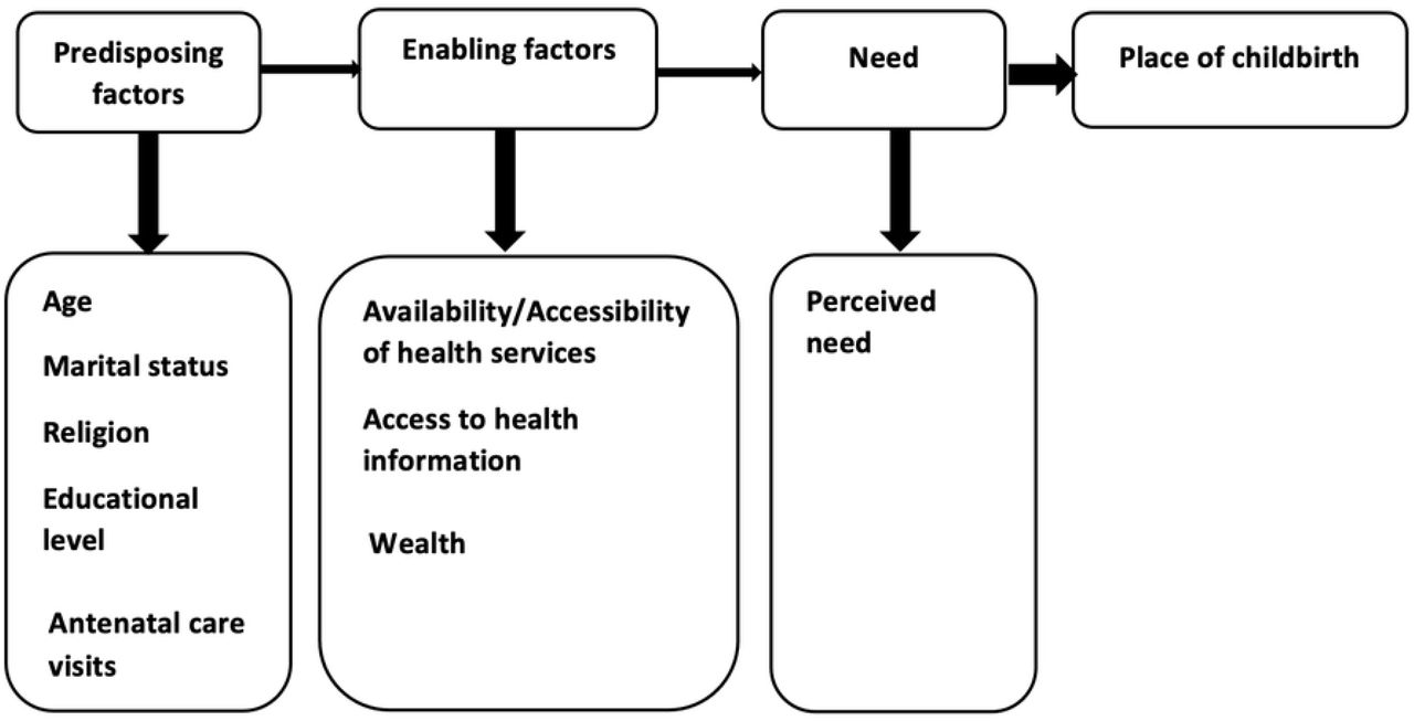 Theoretical framework adapted from Andersen’s Behavioral Model of Health Care Utilization