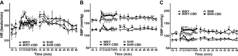 Telemetered heart rate (HR, A), systolic (SBP, B) and diastolic (DBP, C) blood pressure in normotensive Wistar-Kyoto (WKY) and spontaneously hypertensive (SHR) rats before and after intraperitoneal injection with cannabidiol (CBD) 10 mg/kg over a time period of about 30 sec or its vehicle at time 0. Data are given as the means ± SEM of 4 rats per group. They were analysed by repeated two-way analysis of variance (ANOVA) with the Bonferroni post hoc test. All values of SBP and DBP in SHR (in the presence of CBD or its vehicle) were higher than their respective values in WKY (p < 0.01). #p < 0.05; ##p < 0.01; ###p < 0.001 vs the respective value at time 0.