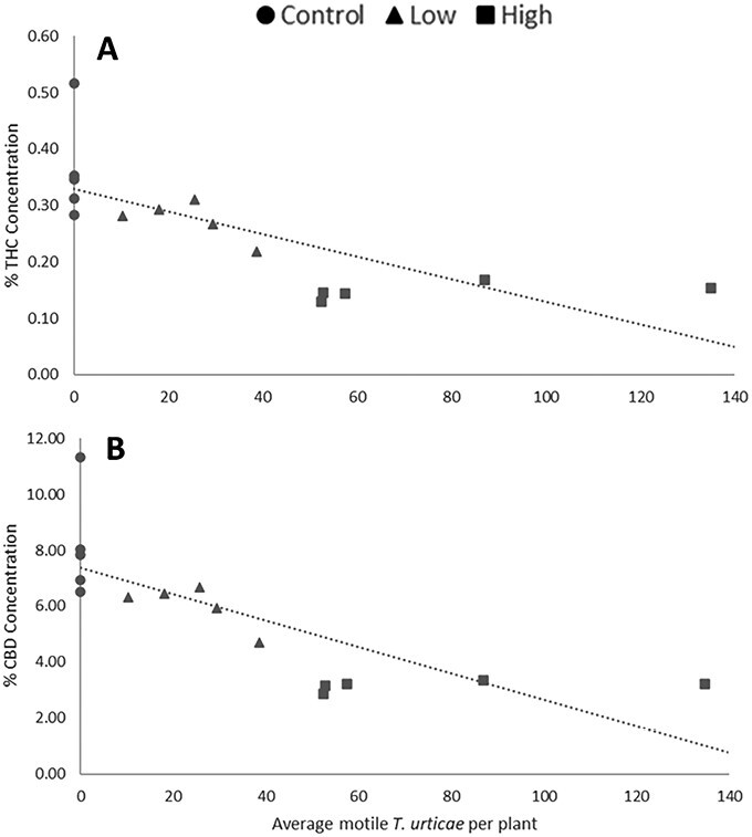 In 2020, higher densities of motile mites were negatively correlated with both THC A) and CBD B); (THC: y = −0.0020x + 0.3292, CBD: y = −0.0471x + 7.3649).