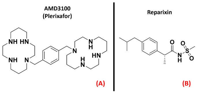 The chemical structures of the CXCR4 antagonist AMD3100 (also known as “Plerixafor”, (A) and the inhibitor of CXCR1 and CXCR2 known as Reparixin (B).